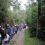 Treinamento na Selva