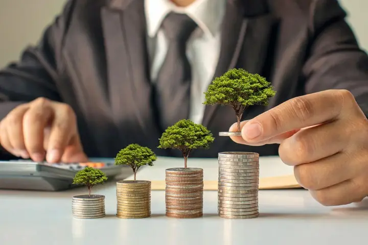 Gestão Financeira