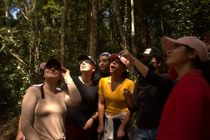 Treinamento de sobrevivência na Selva - treinamernto na selva