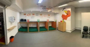 Gol Lança Espaço Pet no Aeroporto de Congonhas 1 Gol Espaço Pet