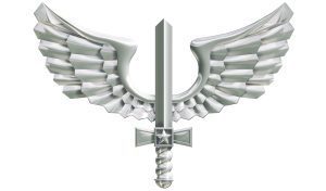 medicina aeroespacial