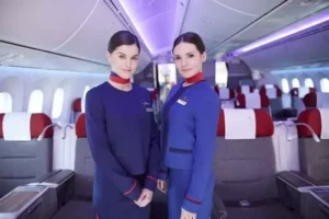 comissário de bordo