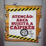 Avião Temático: Chico Bento 14 448814160 993945828768776 517000816708172844 n