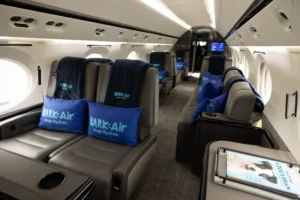 Bark Air: A Revolução Canina nos Céus 2 Estrutura da Aeronave