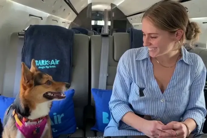 Bark Air
