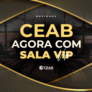 Como a Sala VIP do CEAB Transforma Sua Experiência em Aviação