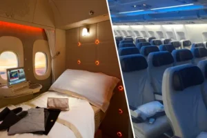 qualidades comissários de bordo